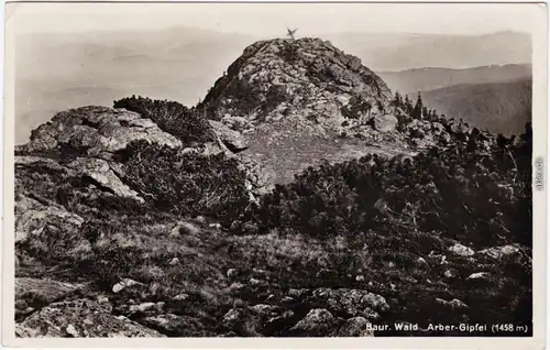 Bodenmais Großer Arber Gipfel (Bayerischer Wald) Fotokarte  1934