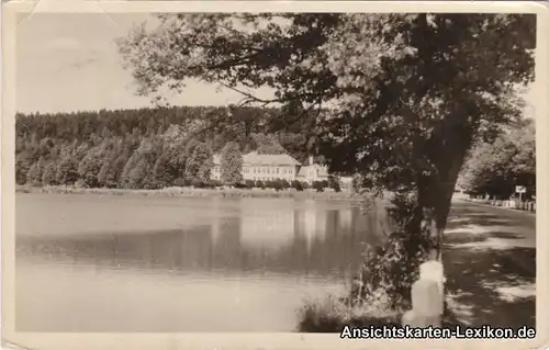Wodnian Vodňany Ansicht mit See 1955