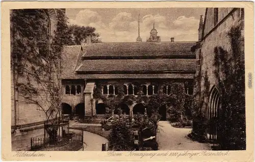 Ansichtskarte Hildesheim Dom, Kreuzgang und 1000 jähriger Rosenstock 1928