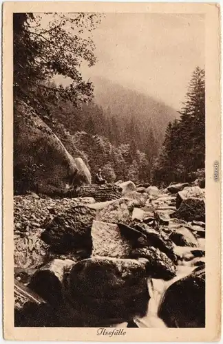 Ilsenburg (Harz) Angler bei den Ilsefällen Ansichtskarte  1926
