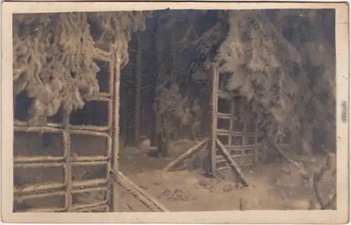 Schierke Wildgatter im Winter Ansichtskarte 1930