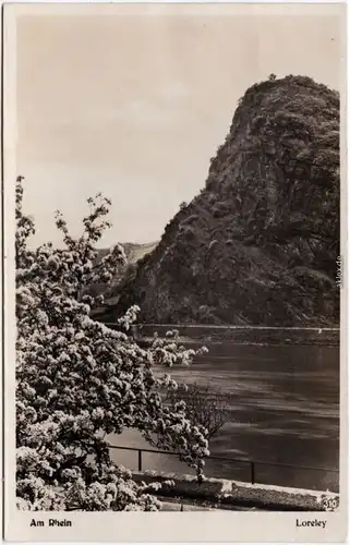 St. Goarshausen Blick auf die Loreley Foto Ansichtskarte 1931
