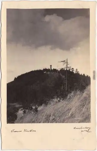 Foto Ansichtskarte Osterode (Harz) Großer Knollen mit Turm 1932