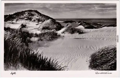 Westerland (Sylt) Wanderdüne Foto Ansichtskarte 1951