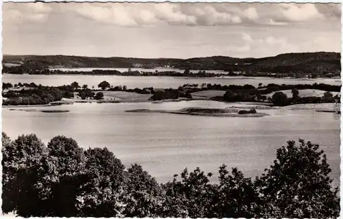 Plön Blick über den See Foto Ansichtskarte 1961