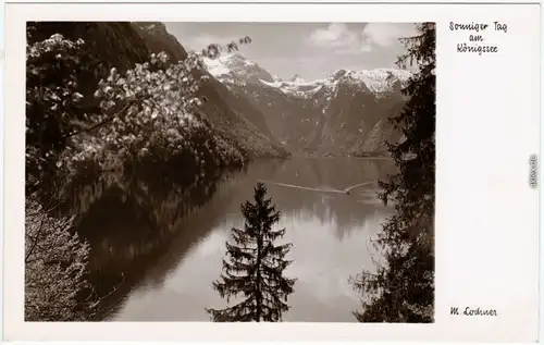 Schönau am Königssee Blick auf den Königssee Foto Ansichtskarte 1939