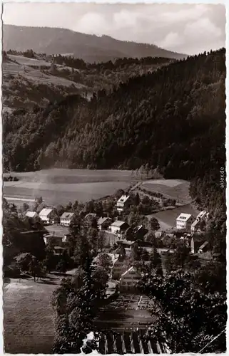 Goldmühl-Bad Berneck im Fichtelgebirge Gasthof und Pension Grampp 1954