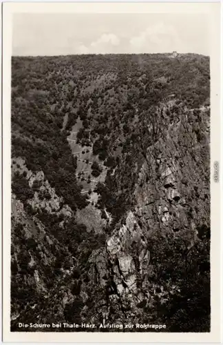 Thale (Harz) Die Schurre, Aufstieg zur Roßtrappe Ansichtskarte 1953
