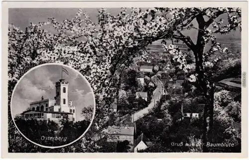 Cossebaude Dresden Straßenpartie - Baumblüte und Osterberg - 2 Bild 1930