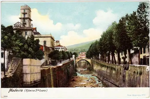 Santa Luzia (Funchal) Ribeira Sta Lusia Postcard Madeira Ansichtskarte  1912