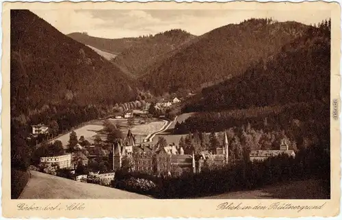 Görbersdorf in Schlesien Sokołowsko Blick in den Büttnergrund Ansichtskarte 1934
