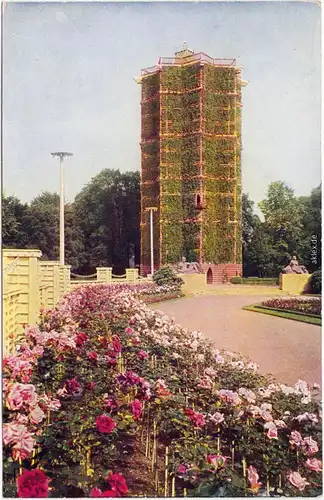 Dresden Drježdźany Blick vom Rosengarten auf Grünen Dom Gartenausstellung 1926