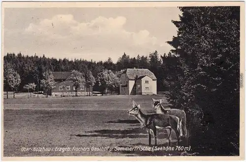 Ansichtskarte Rechenberg Bienenmühle Rehe vor Richters Gasthof 1931