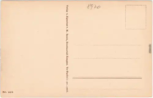 Immenstadt (Allgäu) Panorama von Norden Ansichtskarte 1920