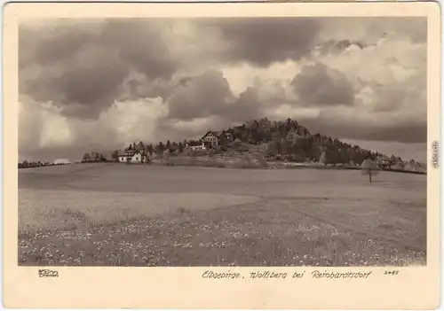 Ansichtskarte Reinhardtsdorf-Schöna Elbgebirge, Wolfsberg 1956 Walter Hahn:2495