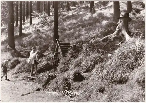 Oberwiesenthal Kinder an einer Quelle, Baumstumpf-Gesicht 1981