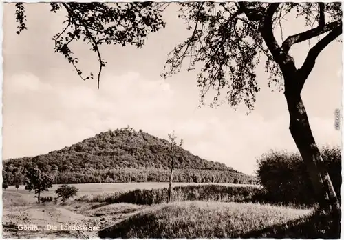 Biesnitz Fotokarte Görlitz Zgorzelec Die Landeskrone 1963