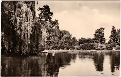 Apolda Friedensteich Foto Ansichtskarte 1967