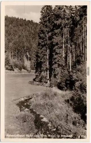 Masserberg Im Massertal Fluss Masse Ansichtskarte 1956