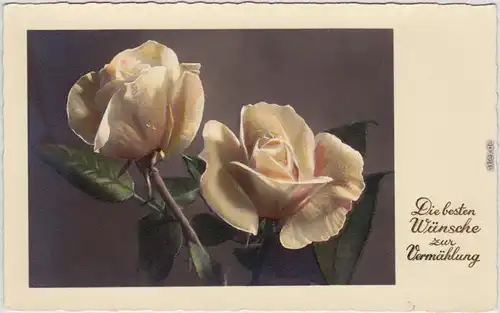 Künstlerkarte Helle Rosen Hochzeit, Neue Einfachheit, Goldschrift 1930