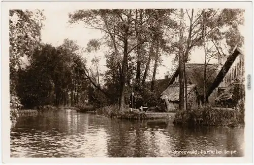 Ansichtskarte Leipe Lübbenau (Spreewald) Lipje Lubnjow Spreewald, Häuser 1930