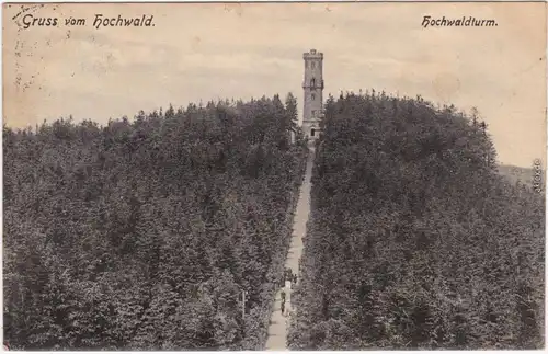 Oybin Partie zum Hochwaldturm  Ansichtskarte  Oberlausitz b Zittau  1909