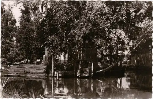 Ansichtskarte Lübbenau (Spreewald) Lubnjow Partie im Spreewald 1964