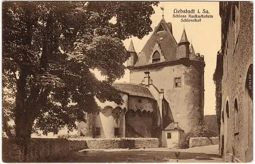 Liebstadt Schlosshof - Schloss, Kuckuckstein b Chemnitz  1916