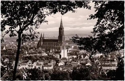 Ulm a. d. Donau Panorama mit Münster 1959