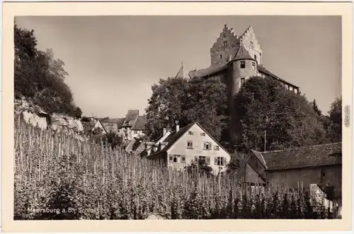 Meersburg Altes Schloß und Weinhang Foto Ansichtskarte  1959