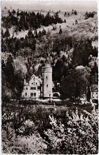 Mespelbrunn das Märchenschloss im Spessart Foto Ansichtskarte  1969