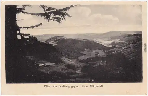 Ansichtskarte Titisee-Neustadt Blick vom Feldberg gegen Titisee 1922