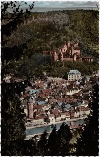 Wertheim Panorama Coloriert Ansichtskarte  1959