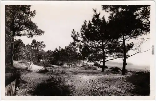 Saint-Georges-de-Didonne Les Petites Dunes de la Forêt de Suzac 1940