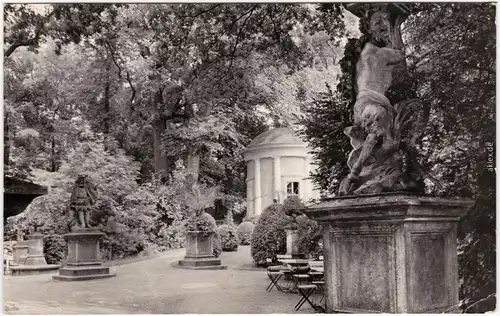 Foto Ansichtskarte Neuruppin Panorama im Tempelgarten 1965