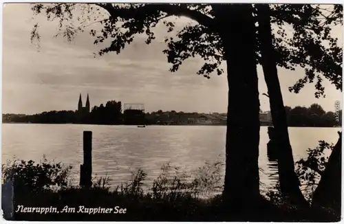 Foto  Ansichtskarte Neuruppin Blick auf die Stadt über den Ruppiner See 1958