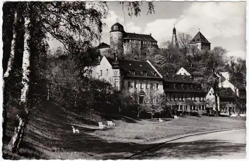 Mylau Straßenpartie und Blick zur Burg  Foto Ansichtskarte Vogtland1959