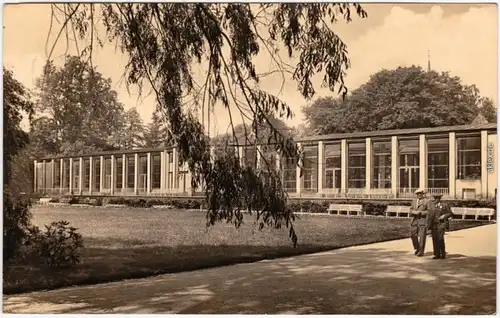 Bad Elster Wandelhalle  Foto Ansichtskarte Vogtland  1961