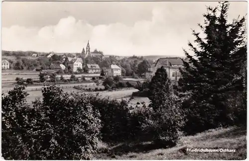 Friedrichsbrunn Panorama Foto Ansichtskarte 1958