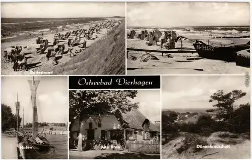 Dierhagen Hafen, Badestrand, Dünenlandschaft, Alte Kate Darß Fischland 1969