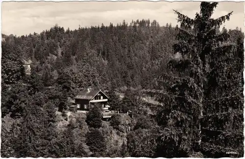 Jocketa Pöhl Adlerstein Foto Ansichtskarte b Plauen 1956