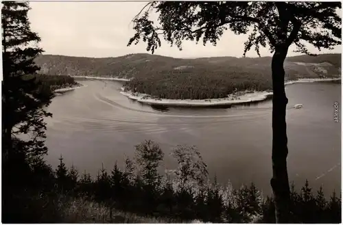 Fotokarte Saalburg Ebersdorf Stausee Bleilochtalsperre - Am Silberknie 1956