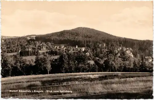 Bärenfels Altenberg (Erzgebirge) Blick zum Spitzberg und Panorama 1964