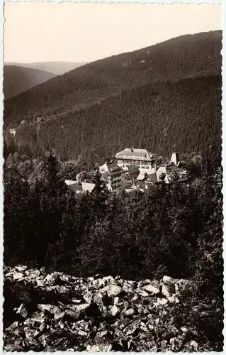 Foto Ansichtskarte Bärenfels Altenberg (Erzgebirge) Blick vom Spitzberg 1965
