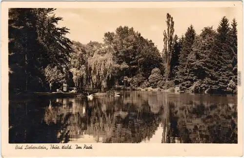 Bad Liebenstein Im Park, Teich mit Schwänen Foto Ansichtskarte Arnstadt 1940