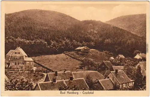 Bad Harzburg Crodotal Häuser b Goslar Ansichtskarte  1916