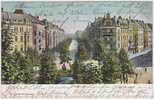 Köln Coellen /  Cöln Salierring Ansichtskarte  1905