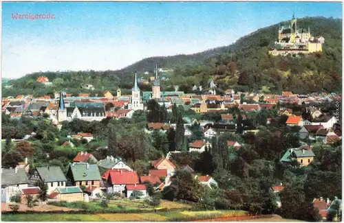 Wernigerode Partie an der Stadt REPRO 1900