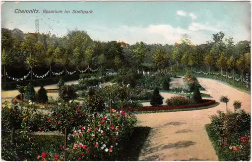 Chemnitz Karl-Marx-Stadt Rosarium - Stadtpark Ansichtskarte 1912