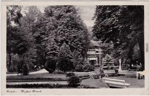 Weißer Hirsch Dresden Oberloschwitz Partie im Park  - Restauration 1940